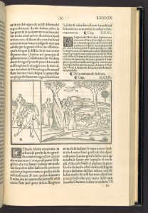 Methamorphoseos vulgare MET DP108968