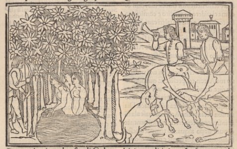 Methamorphoseos vulgare Met DP-17882-001