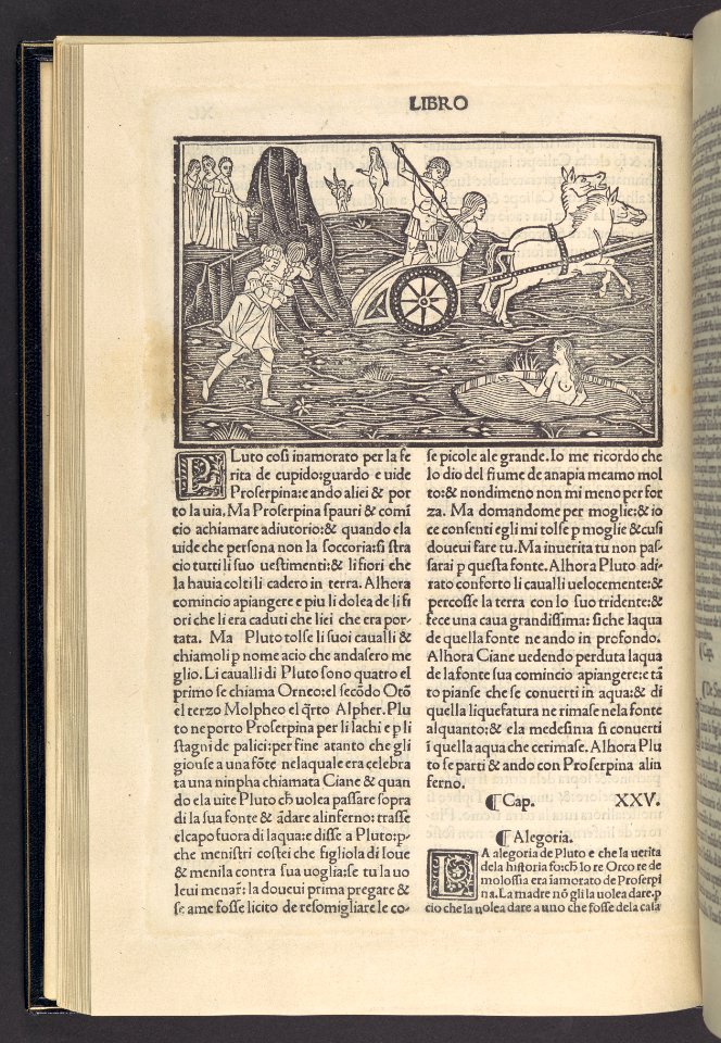 Methamorphoseos vulgare MET DP108966