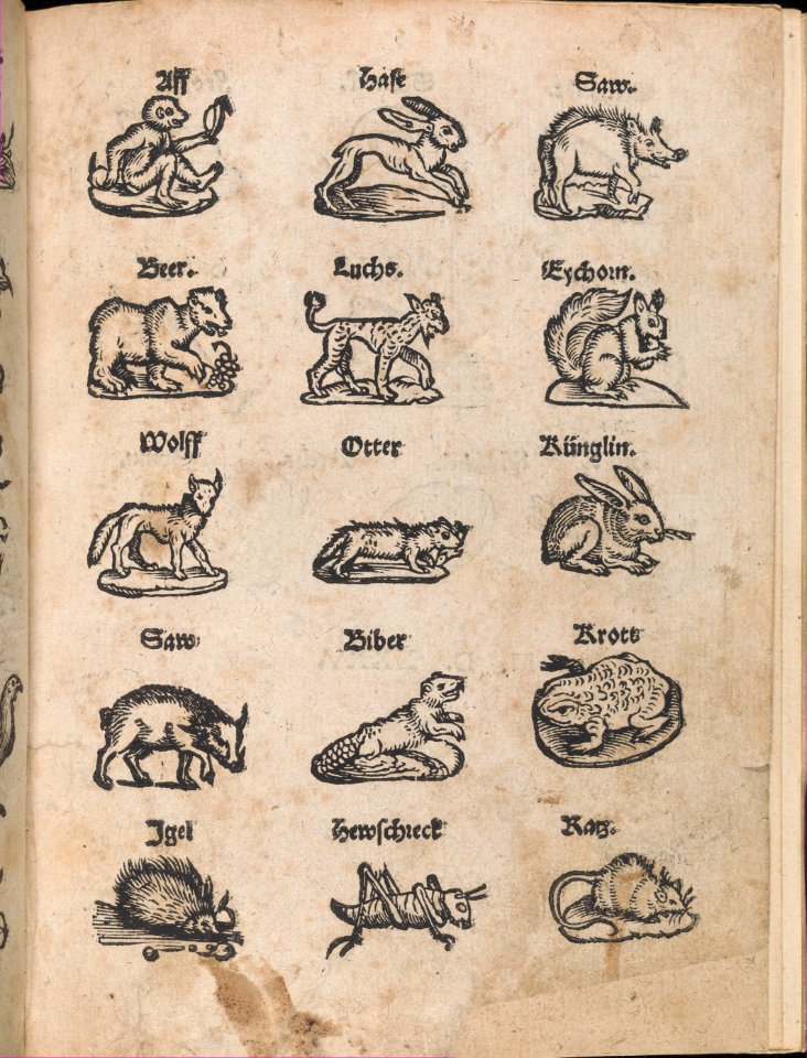 Modelbuch aller Art Nehens vn Stickens (Page 14r) MET DP369101