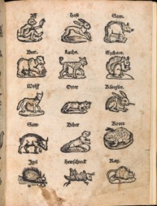 Modelbuch aller Art Nehens vn Stickens (Page 14r) MET DP369101