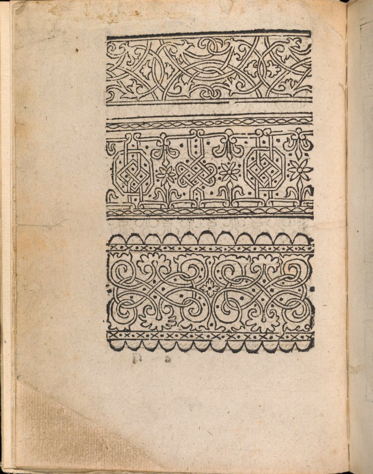 Modelbuch aller Art Nehens vn Stickens (Page 3v) MET DP354709