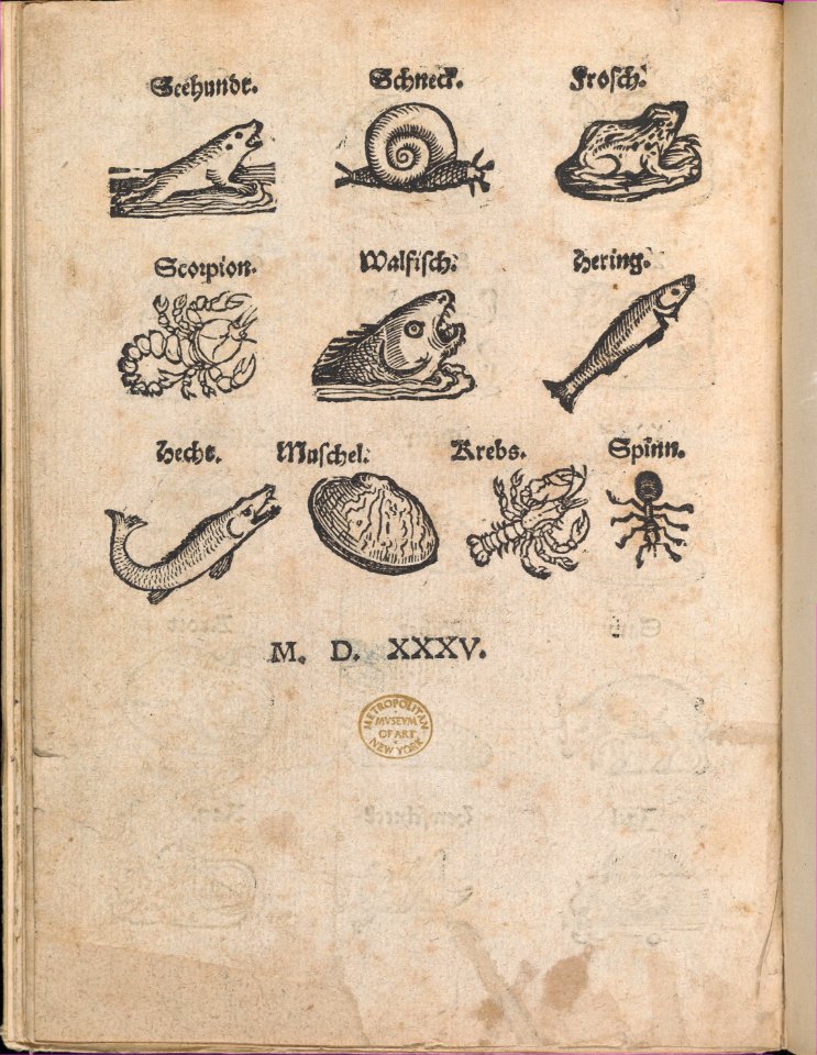 Modelbuch aller Art Nehens vn Stickens (Page 14r) MET DP369102