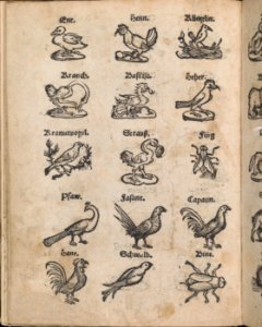 Modelbuch aller Art Nehens vn Stickens (Page 13v) MET DP369100