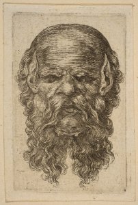 Mask MET DP817655