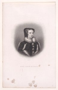 Mary, Queen of Scots Met DP890384