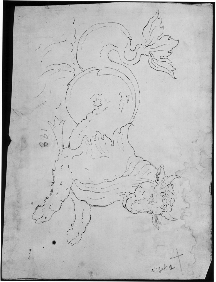 Marine bull, detail (recto) blank (verso) MET sf68 769 53r-MM43700