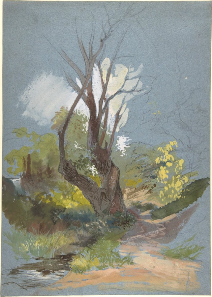 Mountain Path with a Tree MET DP804016