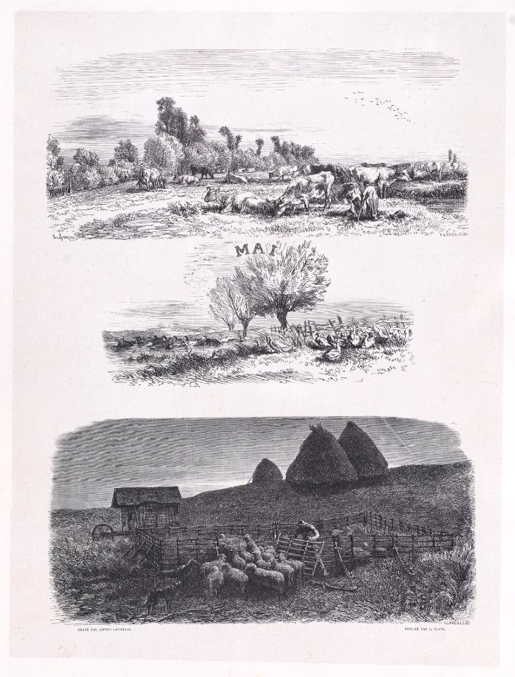 May from Album of Rustic Subjects Met DP888910