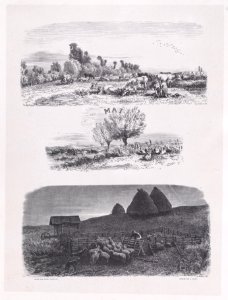 May from Album of Rustic Subjects Met DP888910