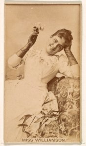 Miss Williamson, from the Actresses series (N245) issued by Kinney Brothers to promote Sweet Caporal Cigarettes MET DP859877