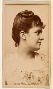 Miss Williamson, from the Actresses series (N245) issued by Kinney Brothers to promote Sweet Caporal Cigarettes MET DP859876