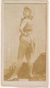 Miss Molke, from the Actresses series (N245) issued by Kinney Brothers to promote Sweet Caporal Cigarettes MET DP859147