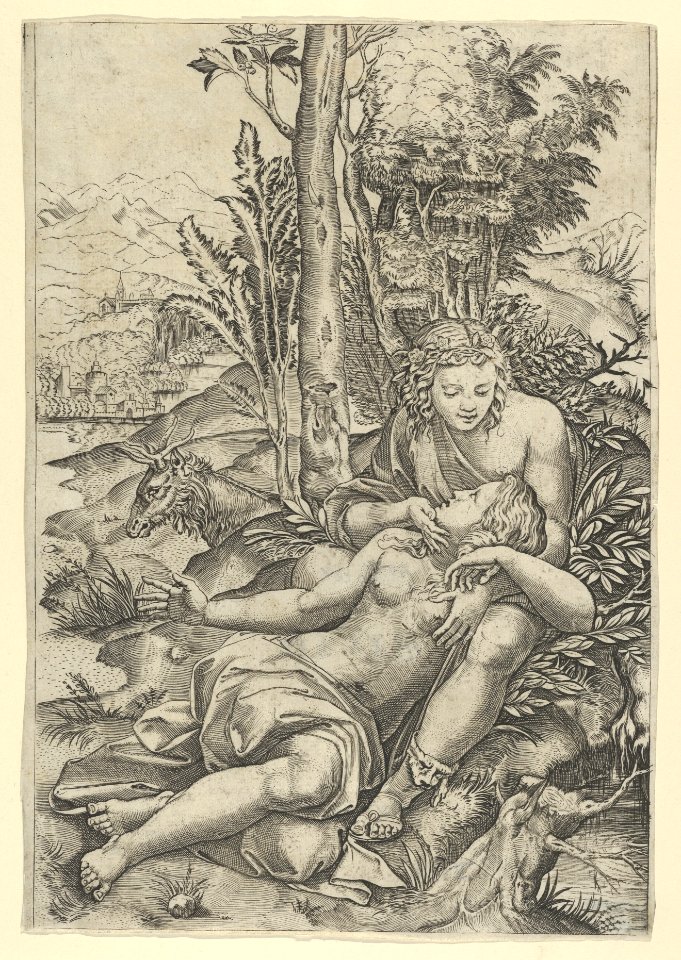 Medor and Angelica from Lodovico Ariosto's 'Orlando Furioso' or Venus and Adonis embracing, set within a landscape MET DP854070