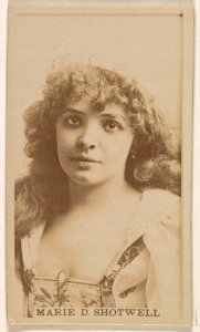 Marie D. Shotwell, from the Actresses series (N245) issued by Kinney Brothers to promote Sweet Caporal Cigarettes MET DP859588