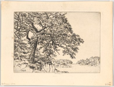 Marin's Oak MET DP861540