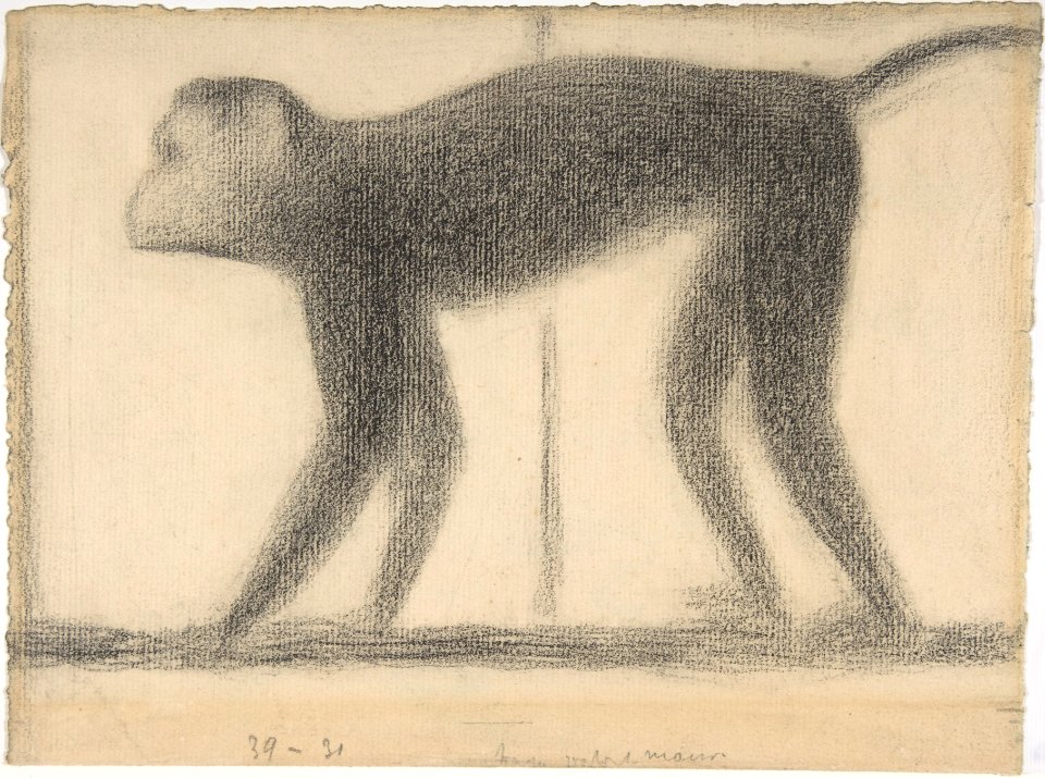 Monkey MET DP808129