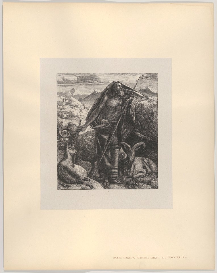 Moses Keeping Jethro's Sheep (Dalziels' Bible Gallery) MET DP835871