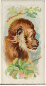 Monkey, from the Wild Animals of the World series (N25) for Allen & Ginter Cigarettes MET DP836497