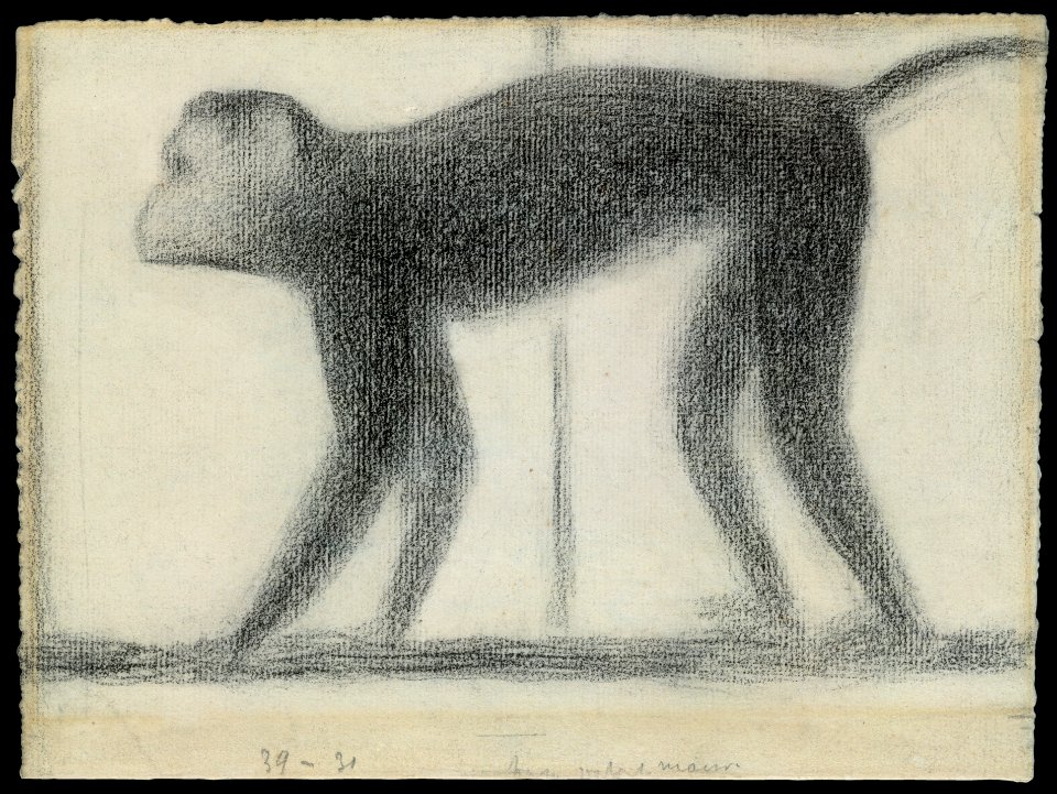 Monkey MET DT4917
