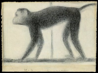 Monkey MET DT4917