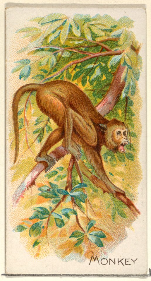 Monkey, from the Quadrupeds series (N21) for Allen & Ginter Cigarettes MET DP835129