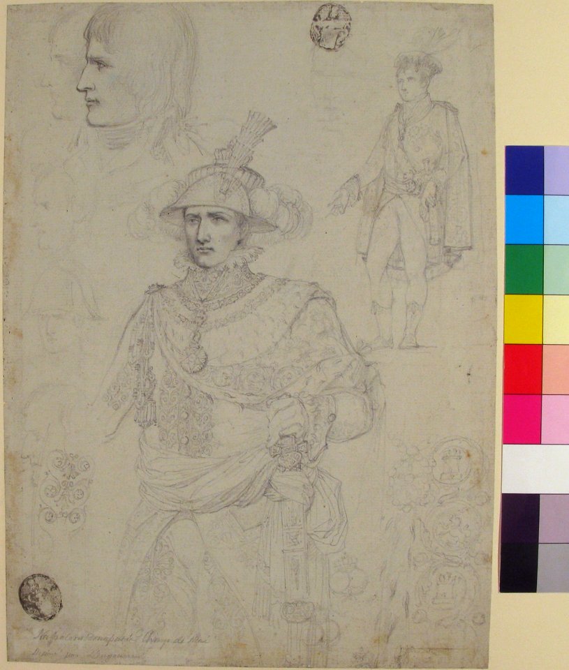 Napoleon Bonaparte at the Champ de Mai, June 1, 1815 MET 1975.131.108