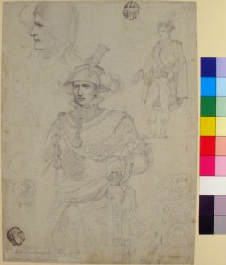 Napoleon Bonaparte at the Champ de Mai, June 1, 1815 MET 1975.131.108