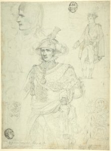 Napoleon Bonaparte at the Champ de Mai, June 1, 1815 MET DP805965