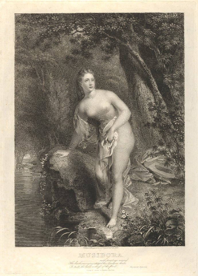 Musidora MET DP837766
