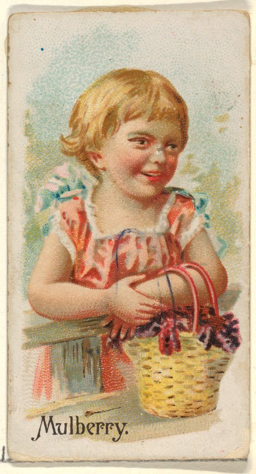 Mulberry, from the Fruits series (N12) for Allen & Ginter Cigarettes Brands MET DP834632