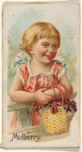 Mulberry, from the Fruits series (N12) for Allen & Ginter Cigarettes Brands MET DP834632