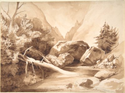 Mountainous Landscape with a Brook MET DP810284
