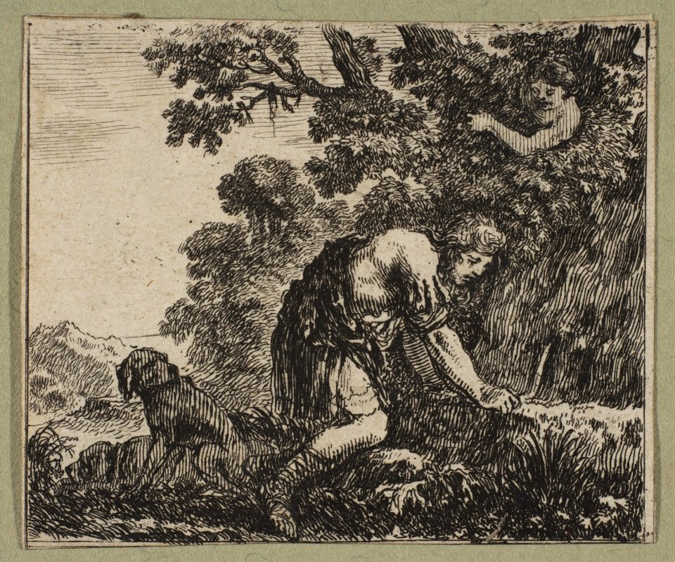 Narcisse MET DP818110