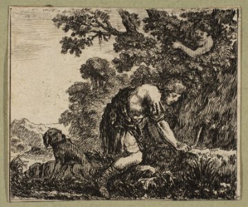 Narcisse MET DP818110