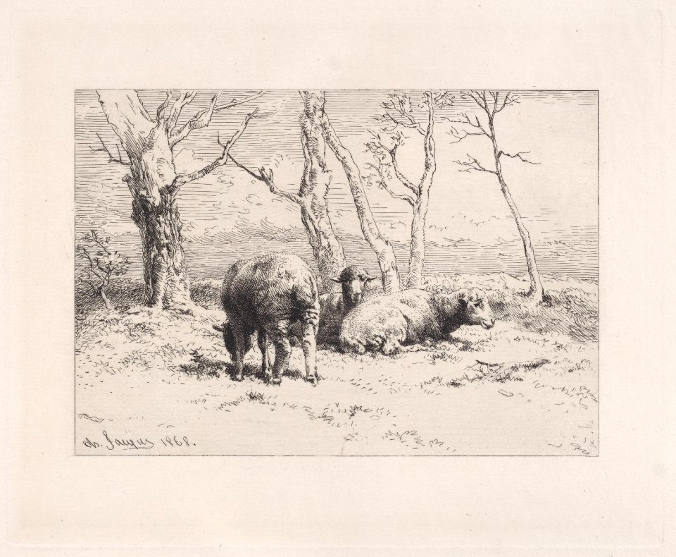 Moutons Met DP888897