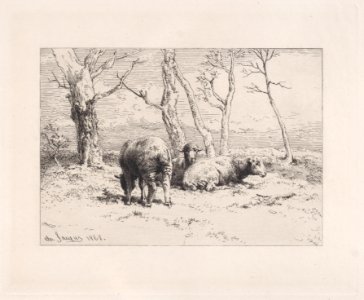 Moutons Met DP888897