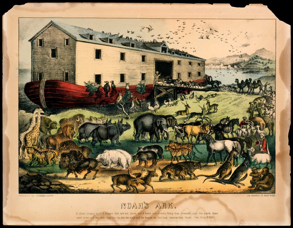 Noah's Ark MET DT4929