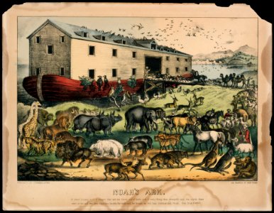 Noah's Ark MET DT4929