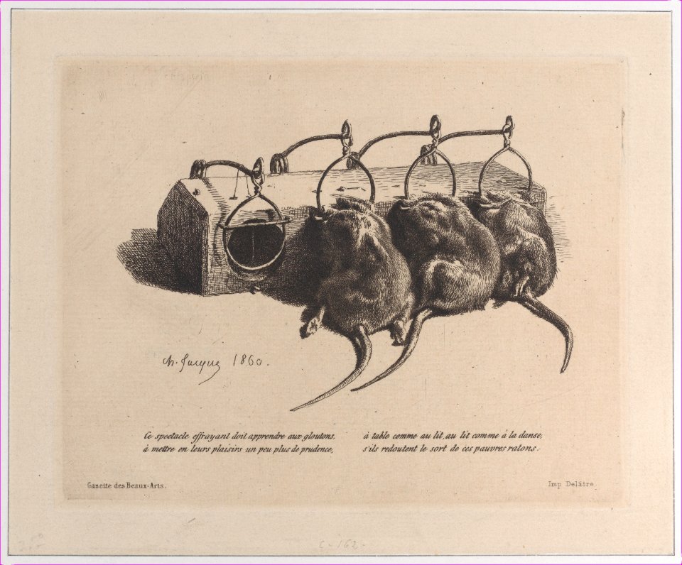 Mousetrap Met DP886970