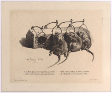 Mousetrap Met DP886970