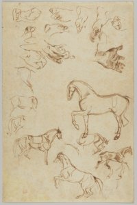 Nineteen Studies of Horses, Hands, and Feet (r.); Studies of Heads and Figures (v.) MET DP836149