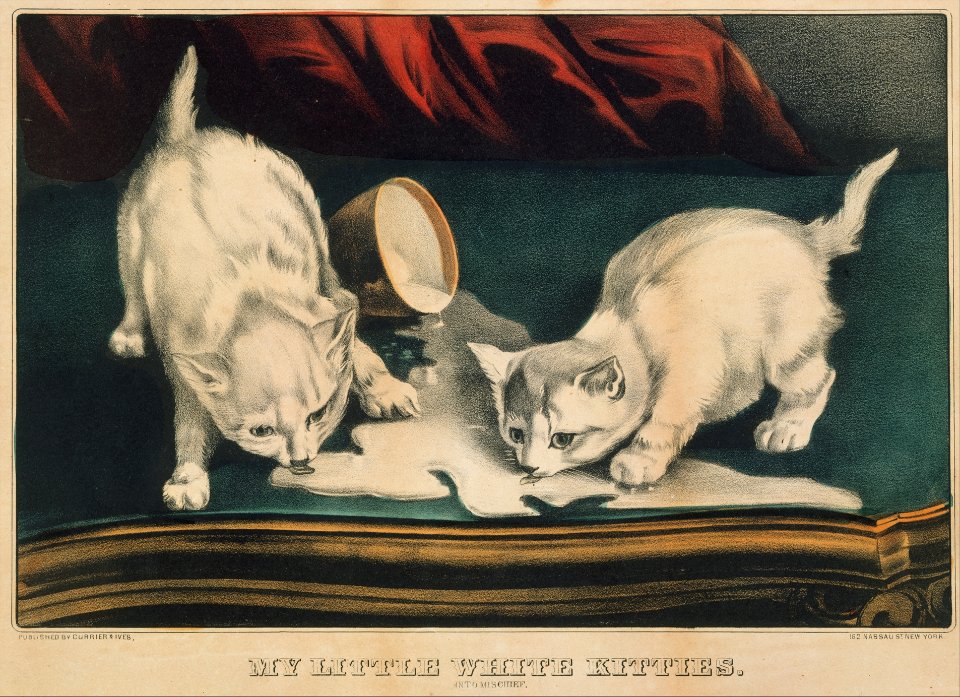 My Little White Kitties – Into Mischief MET DT270088