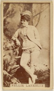Nellie Larkelle, from the Actors and Actresses series (N45, Type 8) for Virginia Brights Cigarettes MET DP831689