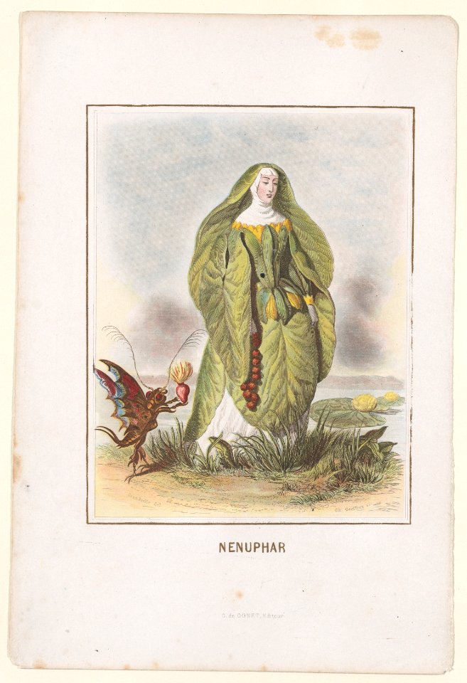 Nenuphar, from Les Fleurs Animées Met DP887406