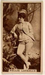 Nellie Larkelle, from the Actresses series (N245) issued by Kinney Brothers to promote Sweet Caporal Cigarettes MET DP858943
