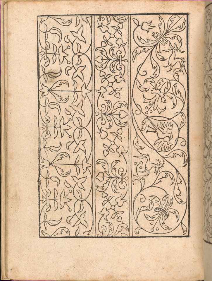 New Modelbüch allen Nägerin u. Sydenstickern (Page 16v) MET DP356573