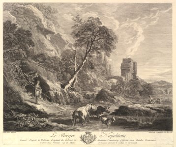 Neapolitan Shepherd MET DP826253