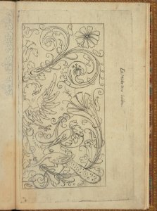 New Modelbüch (Page 46v) MET DP351470