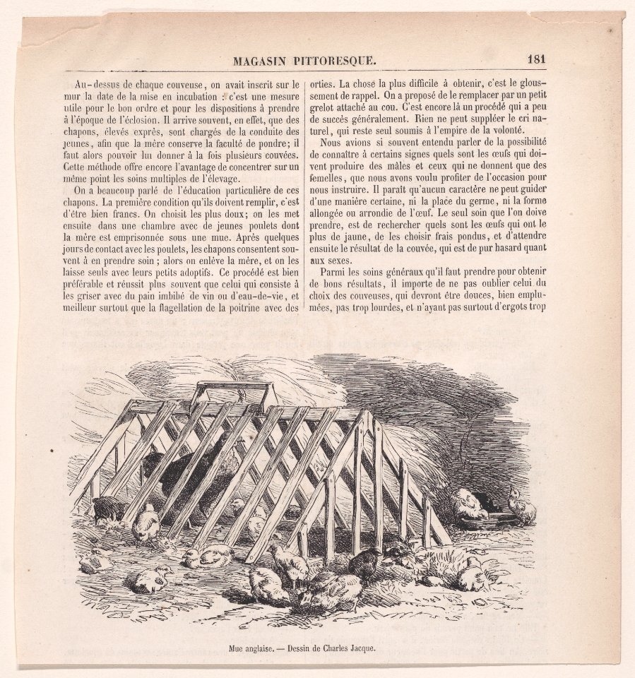 Mue anglaise; from Magasin Pittoresque Met DP888854